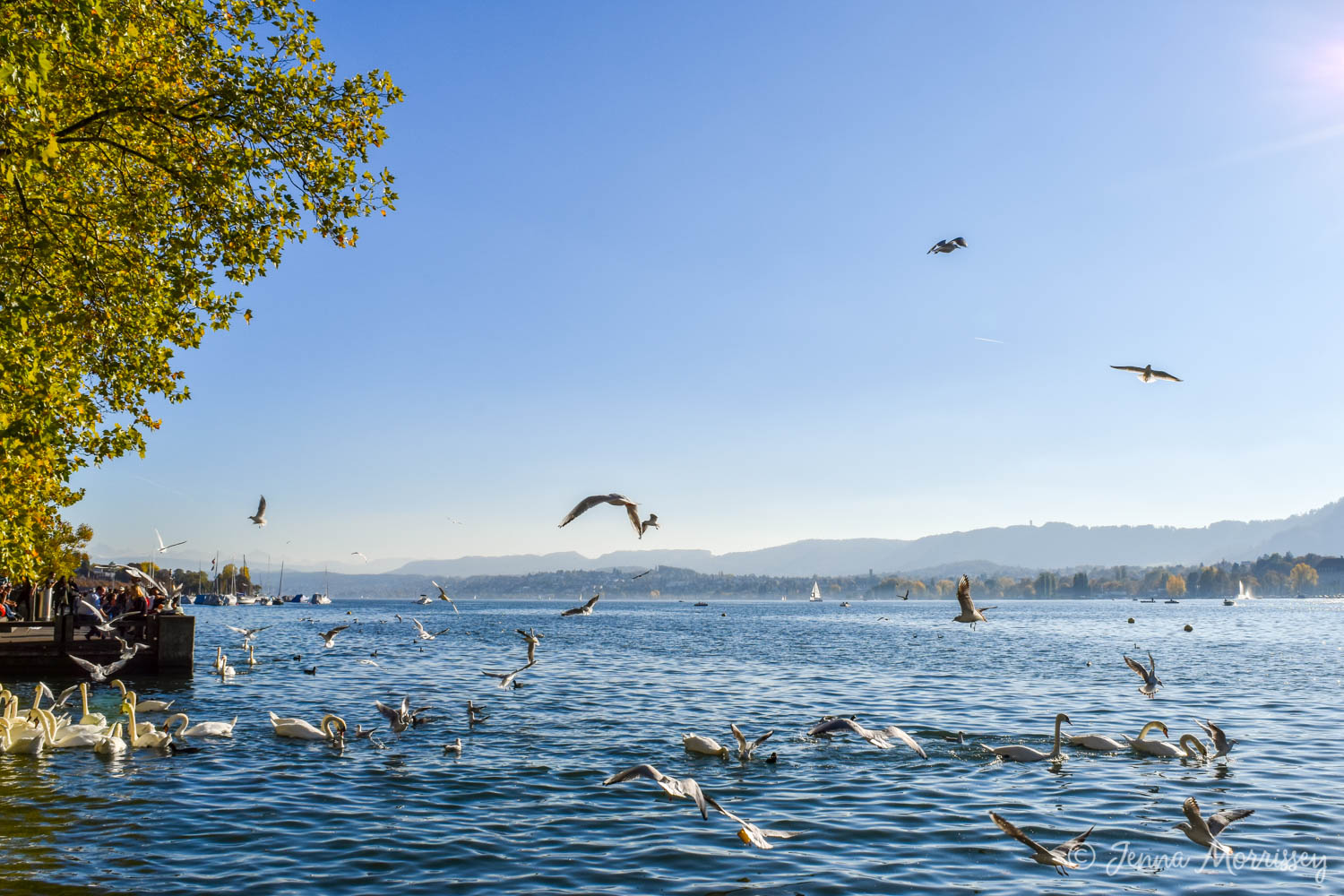 A Zurich Walking Tour